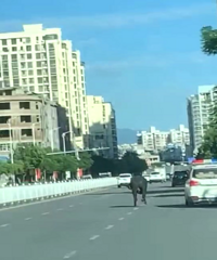 ̫ͻȻ�����ϻ���