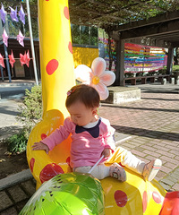 ����ȥ��ɽ��԰�о�����į��������㳡���ܱ�