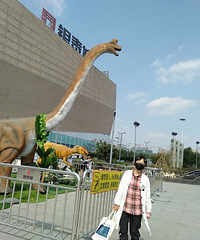 [���ĺ�]�������򲻻�������û��������20Ȧ�Ŷ�������