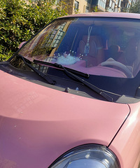 ���������ġ������۵ĳ�����ʵϰ���Ƿ�ɫ��