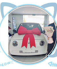 ŷ����è�ȳ� �۸�6.3w