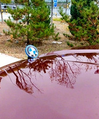 �����������꣬�Ǹ��Լ�������