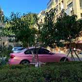 ö��ɫ����������Ů��