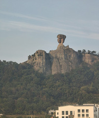 [���]�Ź���Ŀ��ؽ��ף���ʶ�˸���ͳ���񻷻��ϰ��