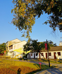 [������]Ϧ���µ�С�壬�Ե�����������