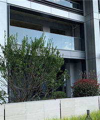 ����ȥ��������