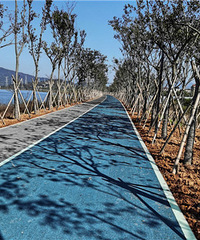 �������̵�