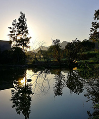 ���ˣ�����ϵ���