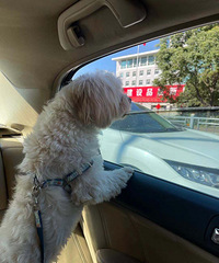 Ѱ������