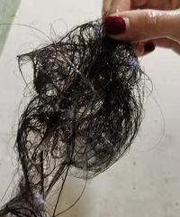 �ټ��ˣ����µĲ����ѷ�