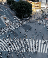 ������Ů���ڵ������α��𣺰����������������Ҫ��