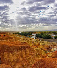 �����˹���ϡ������̲