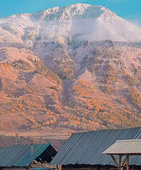 �����Ĵ��䣺��ľ