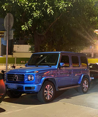 ���������ġ���Զ�ͱ������ɫ������