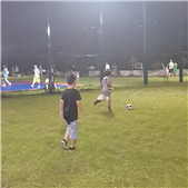 �޼��뼸������Ϊ����