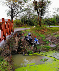 [������]Σ�յĵ�ƿ���������ںӱ�ȴû��