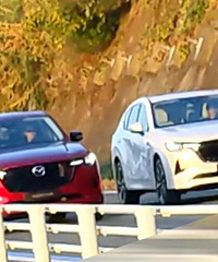 ��Ƹ�ͷ��С�ˣ����Դ�CX-60ʵ�ĵ����ع�