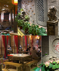 ��ʮһ����ʳ�ֲݡ�С�������-��ëֵ��ߣ