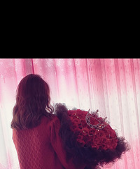 �����Ŷ��顿���񣬽�������䣬���ӣ�xiang����Բ����֦