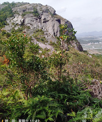 ̽·���ɽ��ʯ����ֻ��Զ��