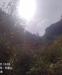 [����]̽·���ɽ��������ʯ�ѣ��ż��ѵ���ţ��ɽɽ��