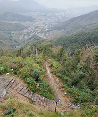 ��������ŵ�����ɽ��������