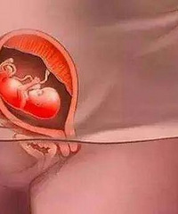 ��̥ʮ������ᾭ����Щĥ�ѣ�ʮ��ͼ���㿴ȫ����