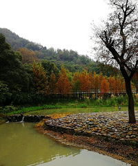 [������]����������ɽ������԰