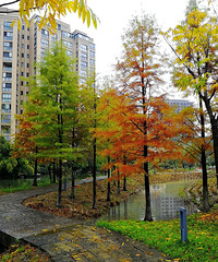 [������]����������ɽ������԰