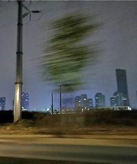 ��̩�ǵ���ס��������