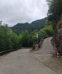 �¶��Ĺŵ�����������ͷ������ŵ���¿��