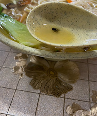 ��ʮһ����ʳ�ֲݡ�·��С����ף������в�Ӭ