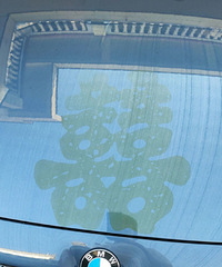 �����ѵ��鳵��ɵ��