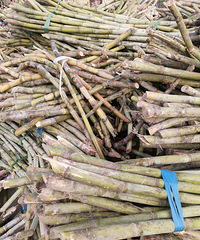 ��ǧ��ĸ��ᣬϴ�˺ü��죬�ֲ���û��ϴ����ե��