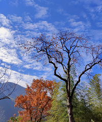 ����Ħ���ܱ��У���強���