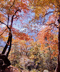 ����Ħ���ܱ��У���強���