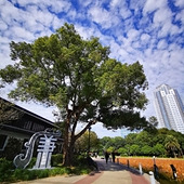 ���޴�����