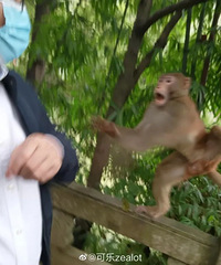 ����ͽ����30¥���뻧Ů�����Ҵ�٣����ѣ���̨�ϷŸ�����ɮ