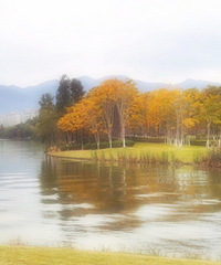 �����װ��