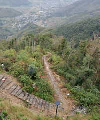 ��������ŵ�