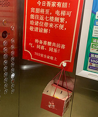 �����������ھӺ���ů