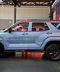 ������Ҳ��ţ�Ƶ�