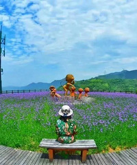 [����]ͽ���ϻƹŵ����ͷ�Ҷ���