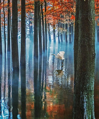 [����]��ɼ��ˮ�ؾ��������������ɻ���