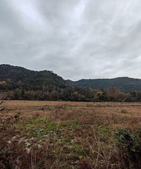 [����]�����Ƕȿ���ۺ�����δ���ٺ���һ����̬���˾Ӵ�