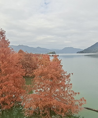 ��������֣��⼸�����ر��·Ҳ�ر��