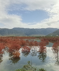 ��������֣��⼸�����ر��·Ҳ�ر��