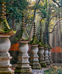 [����]�㽭��������·���������˴�