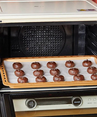 �ɿ������� | �ְ��ֽ�ѧ���ɿ����ؿ���