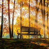 ������ɫ